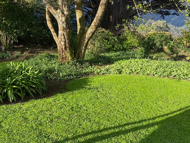 Photo 11 for Garden retreat 'Cottage' in stunning Otways