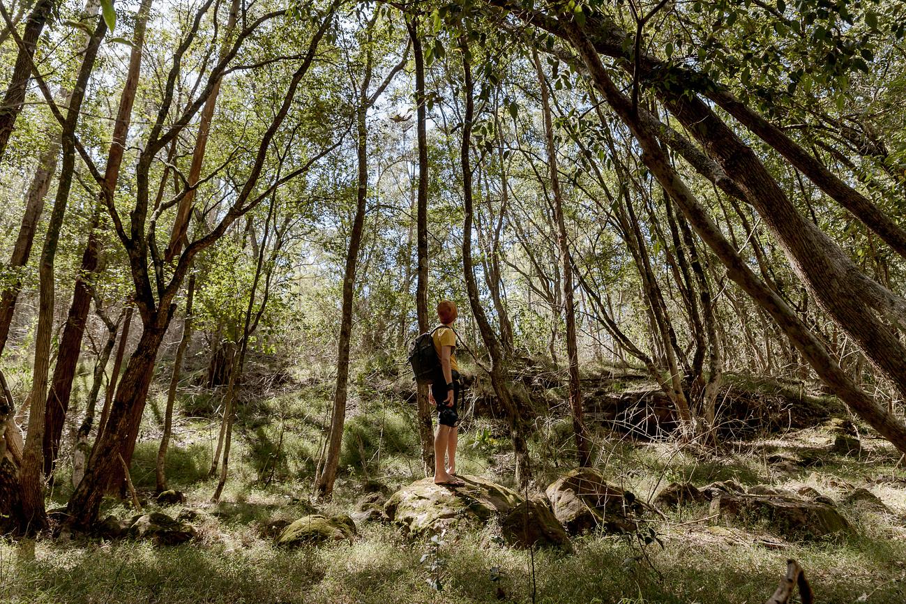 8 Luxurious Off-Grid Homes That Are Off the Charts Amazing