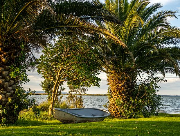 Photo 11 for Pahoia Paradise Beach Stay