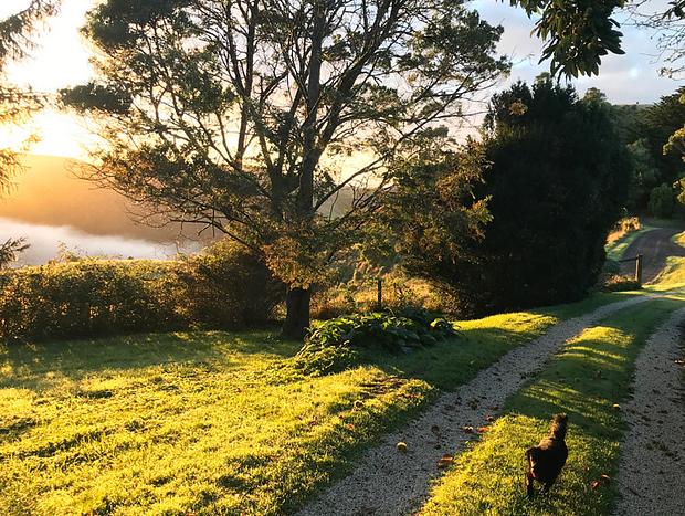 Photo 6 for Garden retreat 'Cottage' in stunning Otways