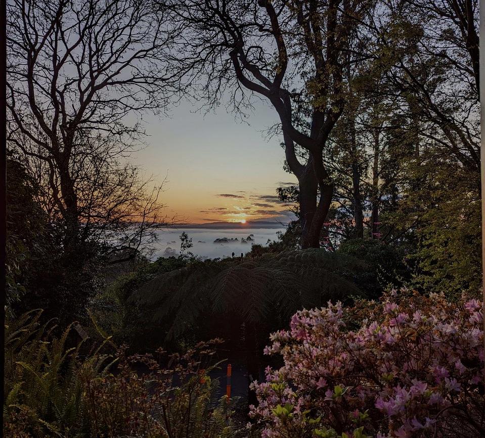 Mt Dandenong Eco Paradise Suite for Rent in Monbulk, Dandenong Ranges