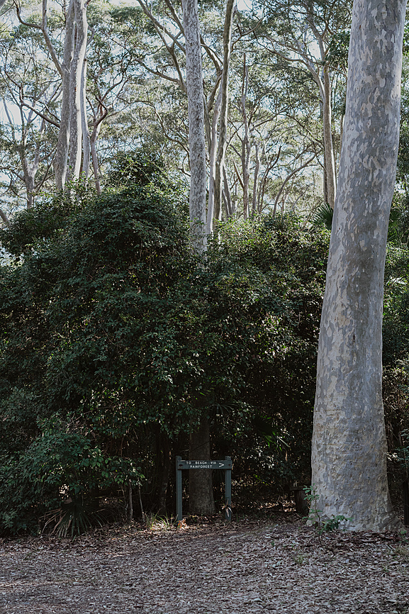 Tallarook Tiny Home Tiny house for Rent in Mogood, NSW, AU Riparide