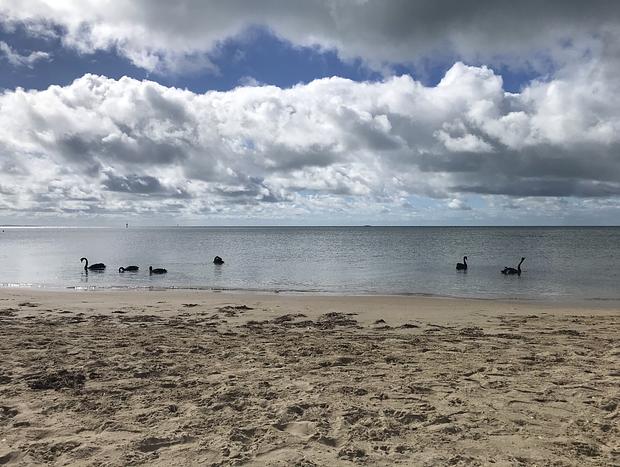 Photo 10 for Backbeach Retreat
