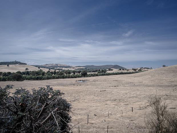 Photo 24 for Hilltop Views Country Farm Stay