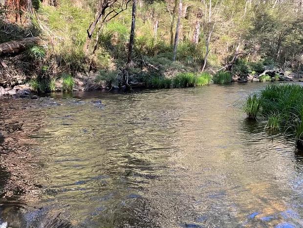 Photo 8 for Rivers Run Warburton