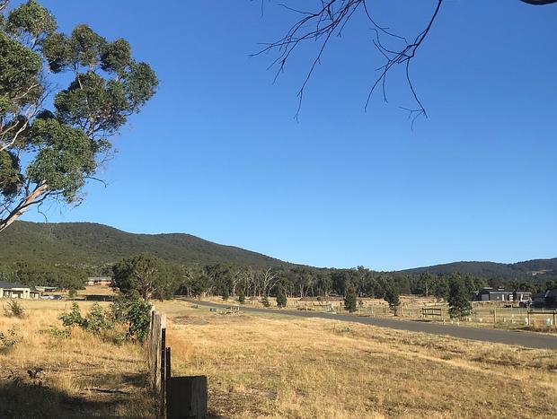 Photo 19 for Manna Gums Tiny