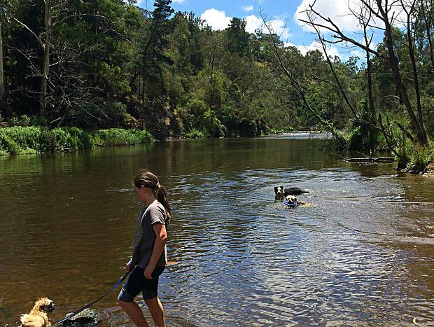 Photo 26 for Warrandyte Retreat. Modern, Calm, in the Treetops