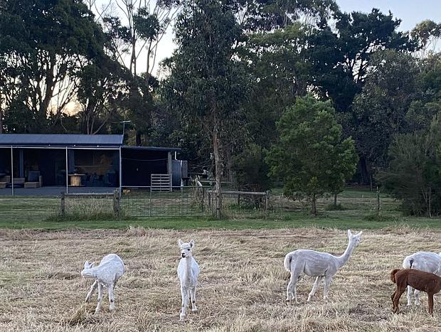 Photo 10 for "Serenity now" farm stay