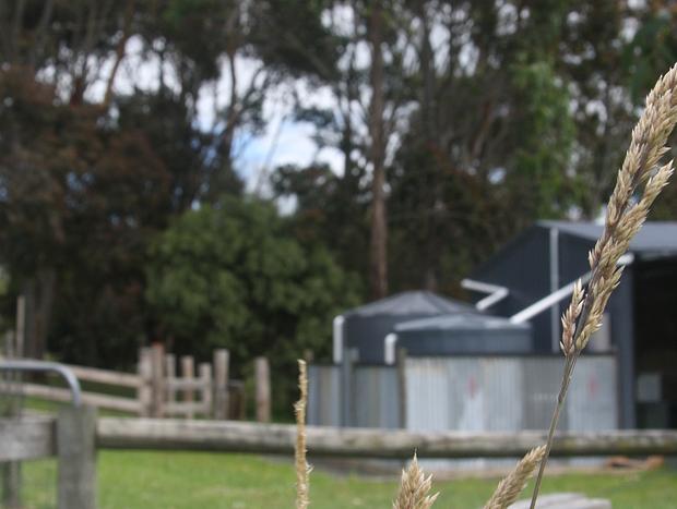 Photo 14 for "Serenity now" farm stay