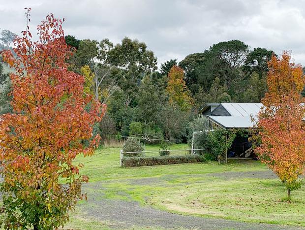 Photo 15 for Thousand Hills Cottages