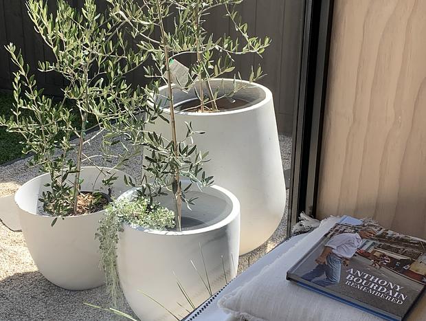 Photo 11 for CODA, Designer Beach Studio Sorrento