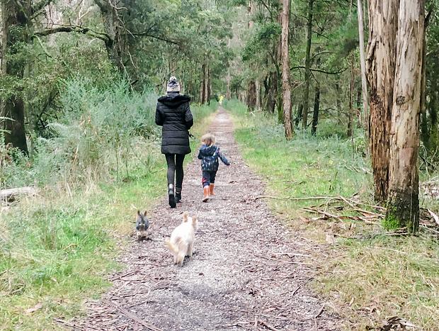 Photo 22 for Dolly’s Lyonville - Central Highlands Escape