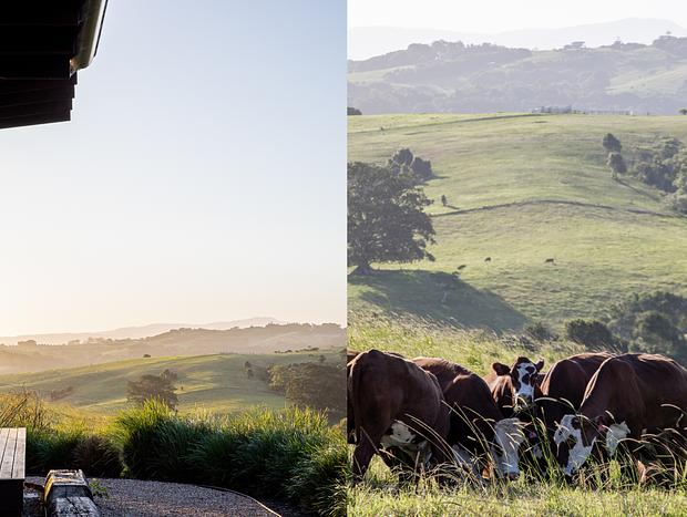 Photo 20 for Carinya Byron Bay - Eco-Luxe Hinterland Retreat with Stunning Views