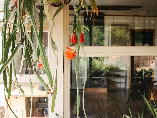 Photo 4 for Strawbale Cottage - Wingspread Garden, Strath Creek