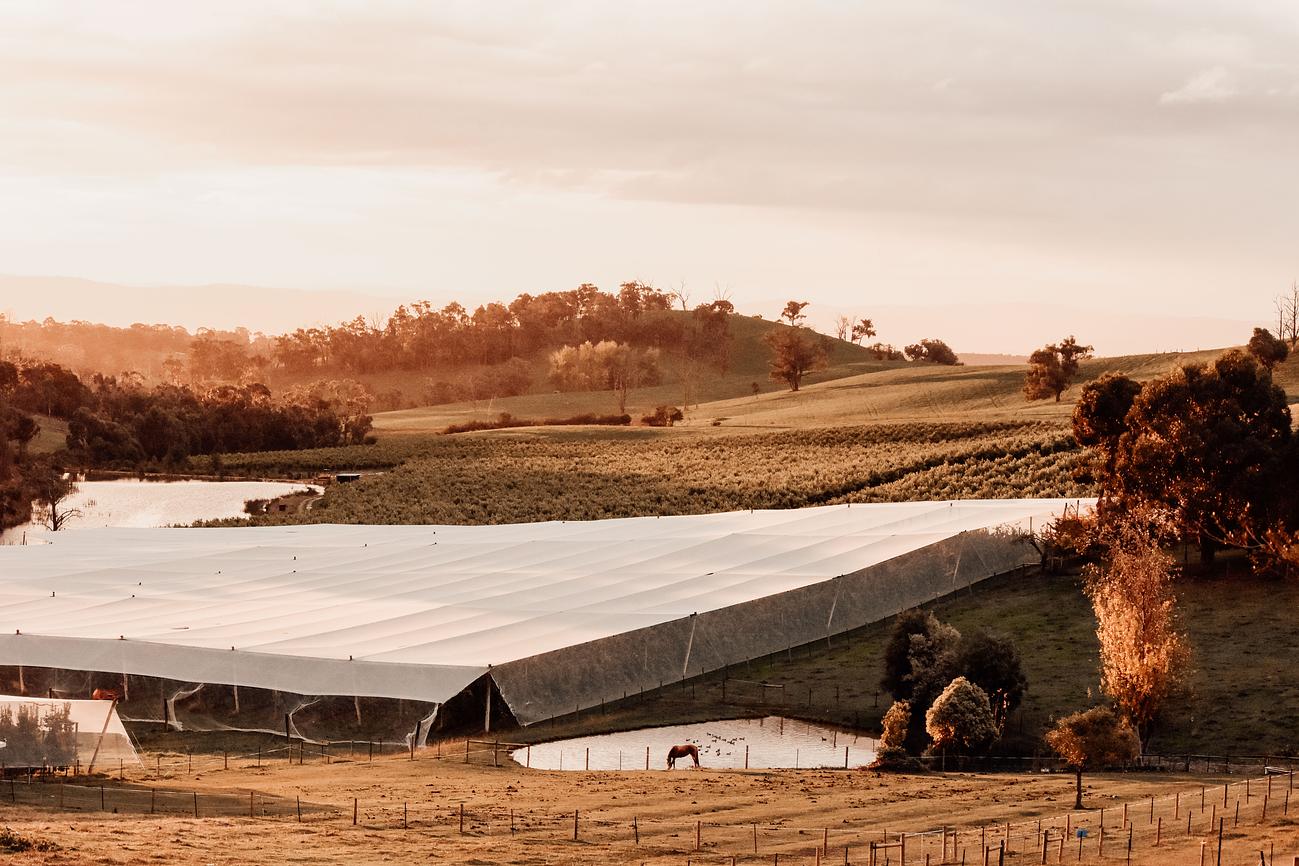 Hot Spring Hideaway Adventure by Saskia in Warburton, Yarra Valley