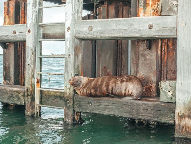 Photo 2 for Fishing In The Harbour