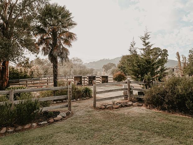 Photo 23 for High Country, Huts & Horses