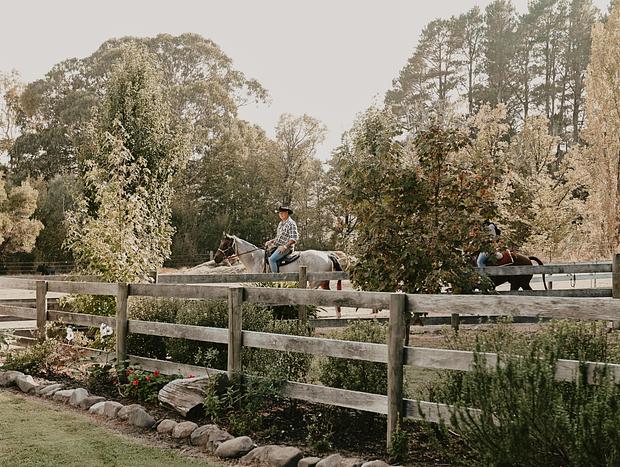Photo 24 for High Country, Huts & Horses