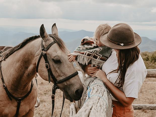 Photo 19 for High Country, Huts & Horses