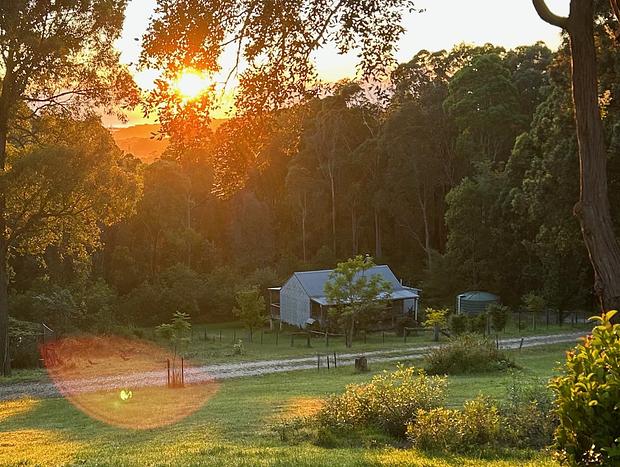 Photo 8 for Spacious Luxury Log Cabin Near Beach - dog-friendly & private at Bawley Ridge Farm