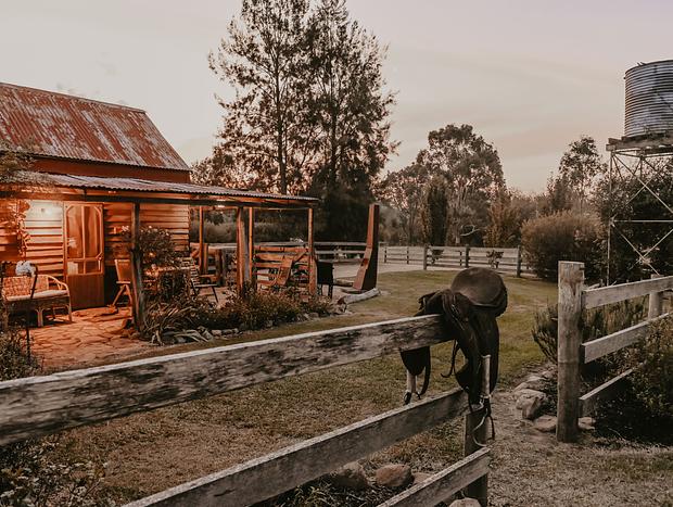 Photo 16 for High Country, Huts & Horses