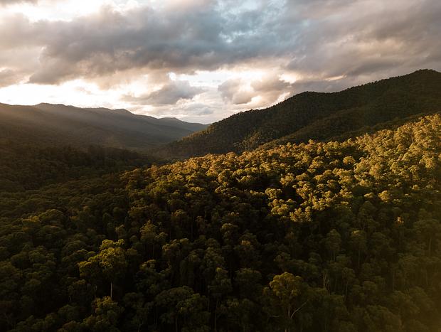 Photo 23 for River Cabin Magic