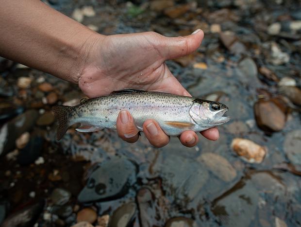 Photo 4 for Fishing in the Goulburn