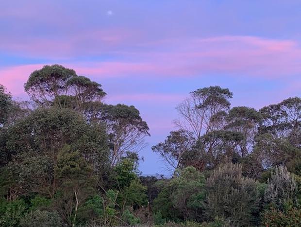 Photo 17 for Blue Wren Cottage - A Yanakie Gem
