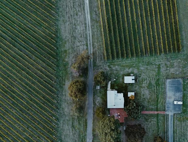 Photo 27 for Soulfulness in the Vines
