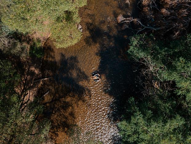 Photo 7 for Tubing down the Goulburn
