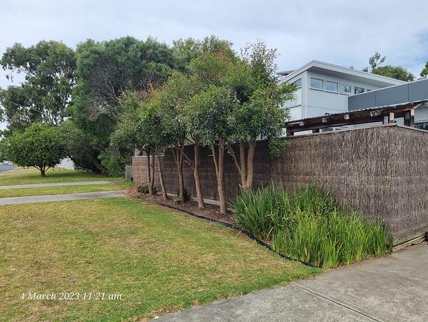 Photo 17 for Beachside House with Focus on Art