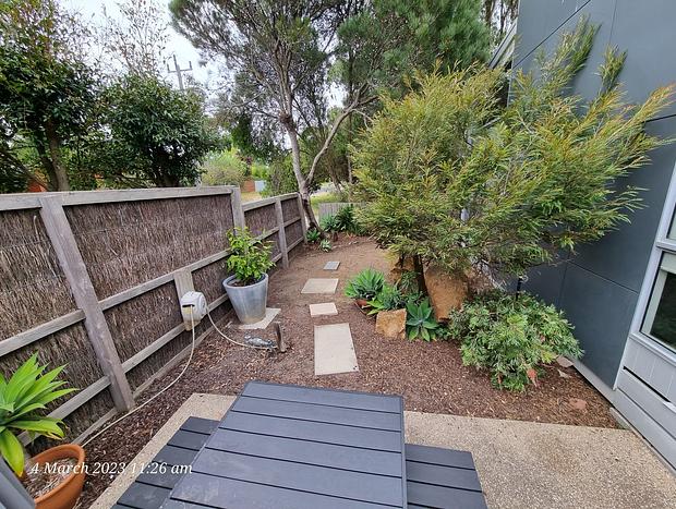 Photo 8 for Beachside House with Focus on Art