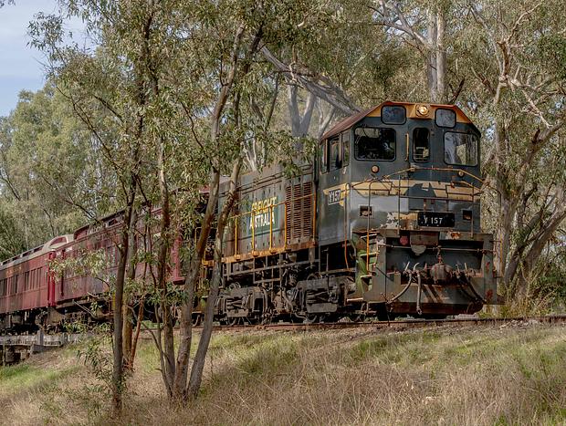 Photo 29 for Among the Gum Trees