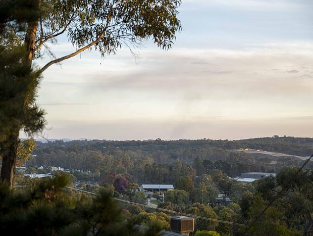 Photo 13 for Among the Gum Trees