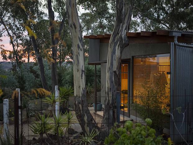 Photo 25 for Among the Gum Trees