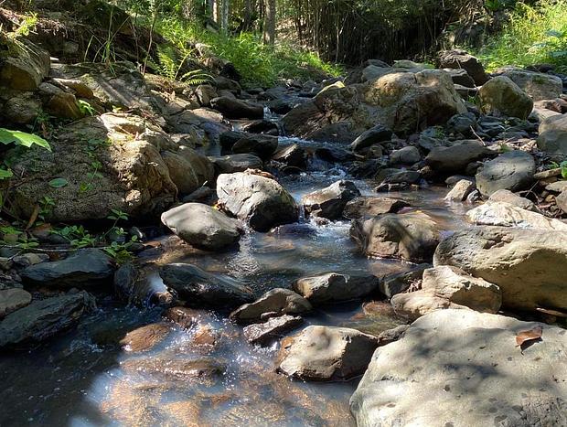 Photo 19 for Coffee Cottage by the Creek