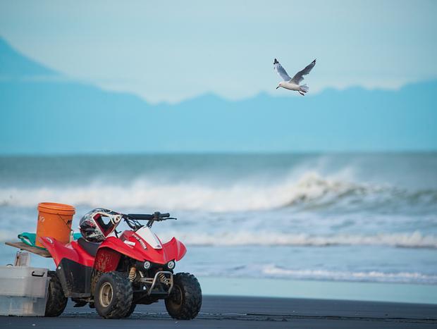 Photo 1 for Fishing at Mokau