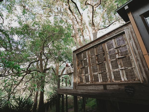 Photo 16 for In the Canopy