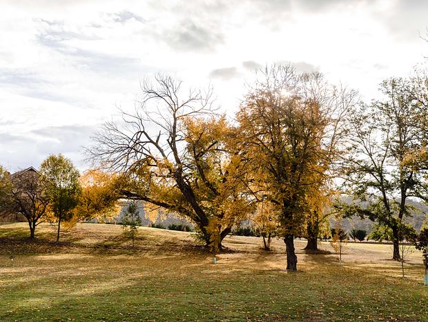 Photo 18 for Charming Countryside Getaway