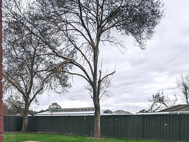 Photo 7 for Highton Gem - A Spacious & Serene Getaway for 10 in Mansfield