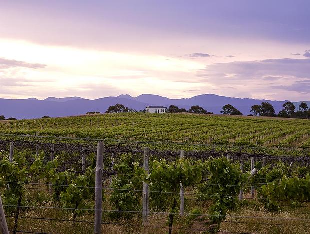 Photo 27 for Hounds Run Vineyard - Tiny House