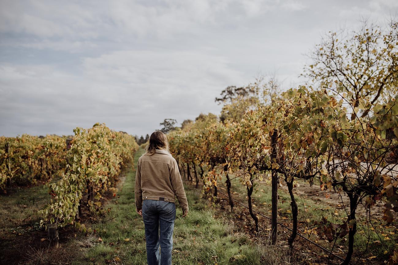 Cosy Glamping Glamping for Rent in Toolamba, Murray River, VIC, AU