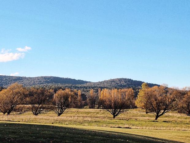 Photo 17 for Idyllic Snowy Mountains Farm