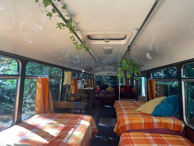 Photo 8 for Bus in the Wombarra's