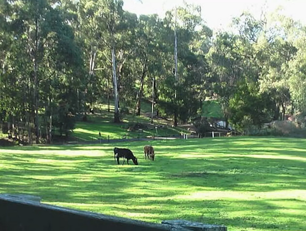 Photo 6 for Redlands Gwinganna (The lookout)- Yarra Valley Escape