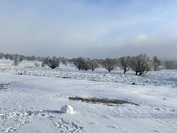 Photo 18 for Idyllic Snowy Mountains Farm