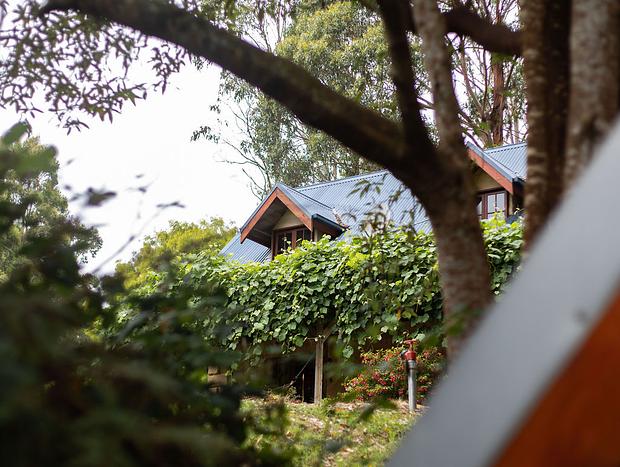 Photo 10 for Hideaway Cottage - Apollo Bay