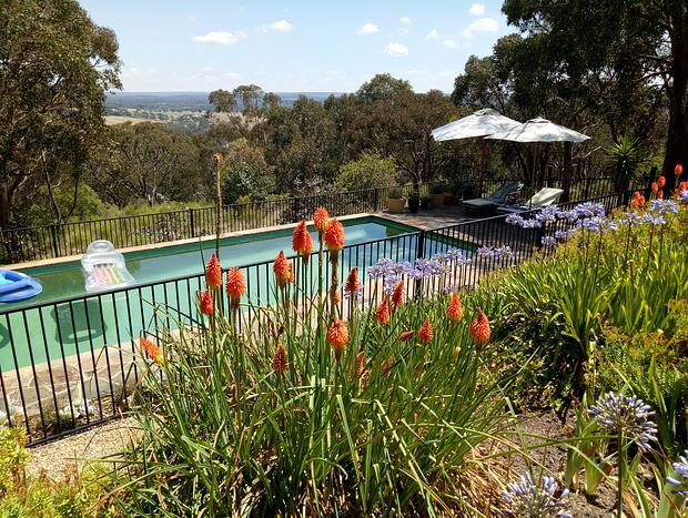 Photo 5 for Macedon Ranges Glamping with kangaroos