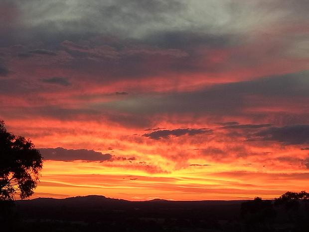 Photo 10 for Macedon Ranges Glamping with kangaroos