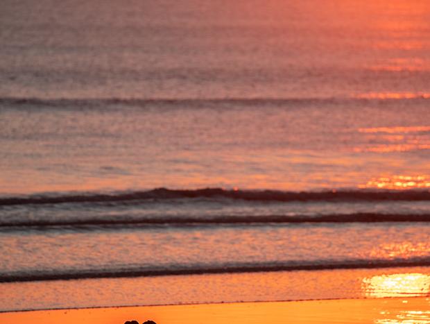 Photo 4 for Watch the sunrise at Ohope Beach
